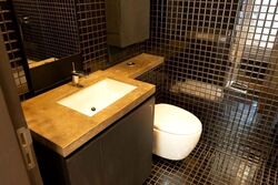 Skysuites@Anson (D2), Apartment #625860331